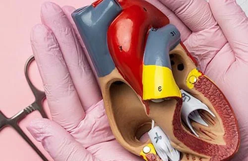 septal-closure
